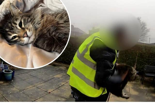 An Amazon delivery driver was caught on a doorbell camera picking up and walking off with an owner's cat
