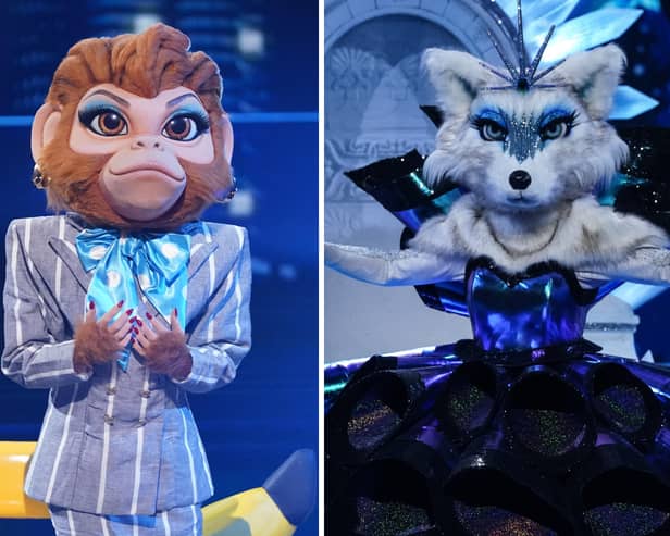 A double elimination on The Masked Singer saw Monkey Business and Arctic Fox leave the competition - but which stars were behind the mask?
