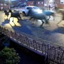 CCTV captured horses galloping down Main Street in East Leake, Nottinghamshire