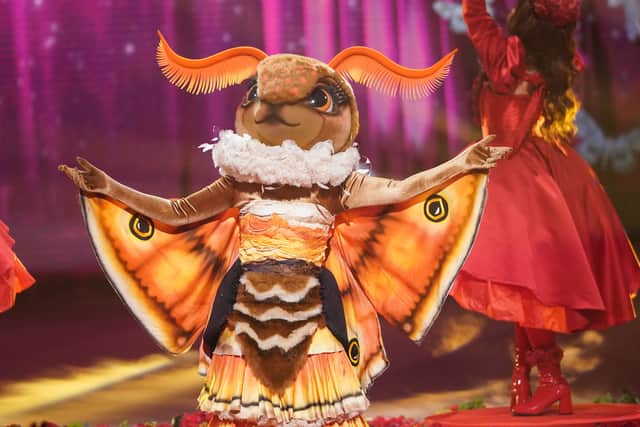 Moth was crowned the winner of The Masked Singer season seven - but who was behind the mask?