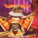 Moth was crowned the winner of The Masked Singer season seven - but who was behind the mask?