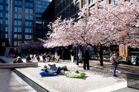 'Influencers' flock to Stanley Crescent in Kensington And Chelsea to snap a picture under the spring blossoms while others sunbathe under the cherry blossom on Oozells Square in Brindley Place in Birmingham