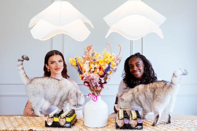 SHEBA have teamed up with Brit-nominated musician Cat Burns to launch its Ignored to Adored campaign.