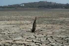 A 'super El Nino' would increase extreme weather - from droughts to flooding - across the globe