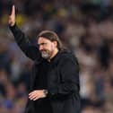 Tottenham vs Leeds: Injury update: Has Daniel Farke recovered from illness, will James Maddison play? Photo: Getty Images