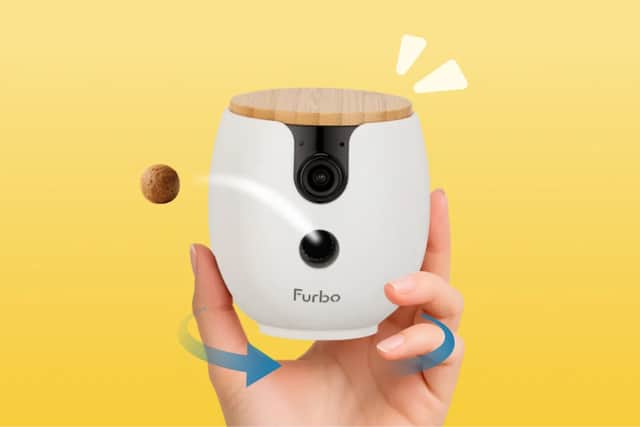 Furbo’s Mini 360 is a popular version