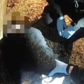 Police bodycam footage during the handcuffing of student Henry Nowak as he lay dying after being stabbed by killer Vickrum Digwa