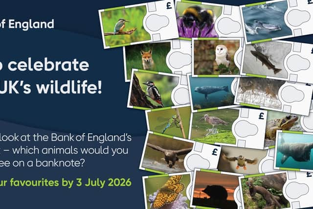 The Bank of England wants people to give their views on a selection of wildlife, native to the UK, that will appear on the next series of banknotes