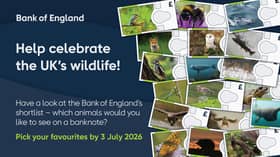The Bank of England wants people to give their views on a selection of wildlife, native to the UK, that will appear on the next series of banknotes
