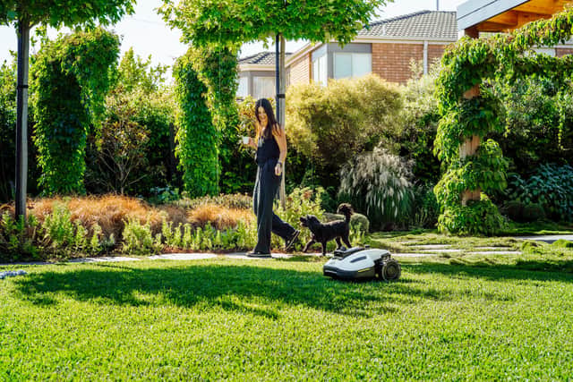 Robot lawnmowers just quietly get on with their job, leaving you to enjoy your garden