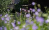 People enjoy punting through Westgate Gardens in Canterbury, Kent, during the warm weather