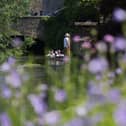 People enjoy punting through Westgate Gardens in Canterbury, Kent, during the warm weather