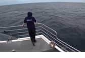 The amazing moment Bruce the Alsatian was found after floating miles out to sea