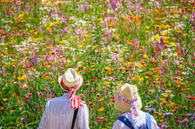 People enjoying the pleasant weather viewing the flowers of the 'Superbloom' garden in the moat of the Tower of London