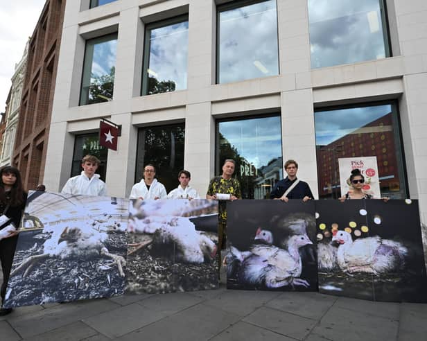 Pret have faced criticism from Anima and Project Slingshot