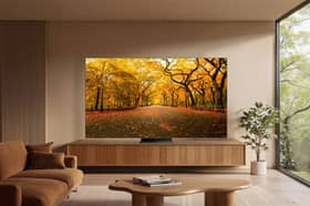 TCL Electronics specialises in the research, development and manufacturing of consumer electronics