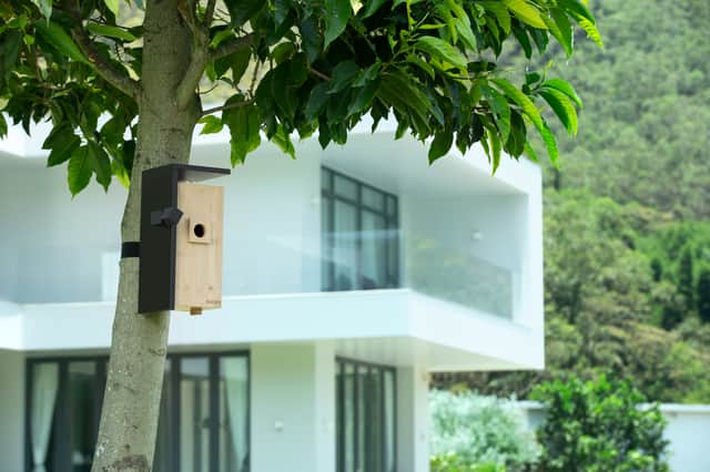 Mounting to wide trunks feels a bit unstable, because the bird box is quite heavy - it's fine for narrower trunks, though, and a tree does provide shade and shelter