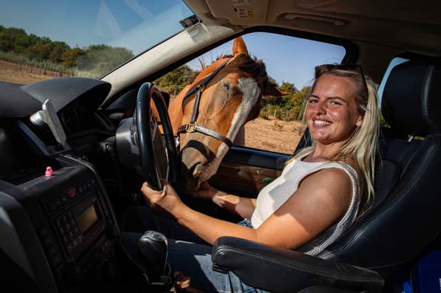 Pizza the horse has a look inside Alicia Moss's new car