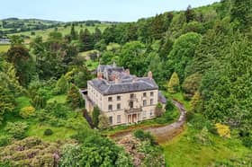 Dolforgan Hall near Newtown has sold for £230,000, but the Grade II listed mansion requires a complete renovation.