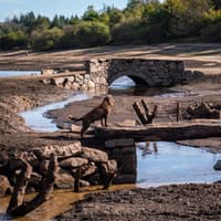 Devon reservoir falls to 30% capacity, revealing remains of 5,000-year-old prehistoric villages