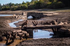 The packhorse bridge and clapper bridge which is usually under water.