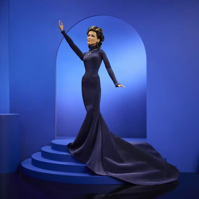 The £69.99 Celine Dion Barbie features an elegant updo and silver earrings inspired by the singer's glamorous style.
