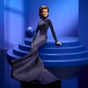 The appearance of the doll pays tribute to the navy, long-sleeved dress Dion wore when she performed Titanic theme song My Heart Will Go On at the Academy Awards in 1998. 