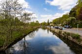 The River Coln could be fenced off in places after concerns that tourists are disturbing protected wildlife by paddling in the water.