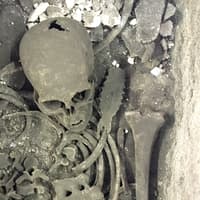 Mystery skeleton found in Roman coffin at Westminster Abbey may finally be identified