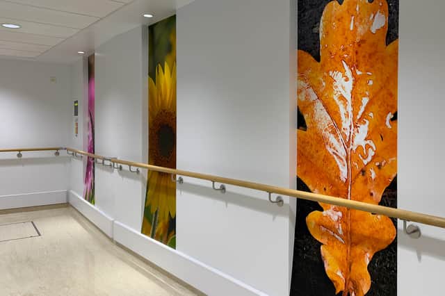 Some of the artwork which will be displayed at the NWCC.