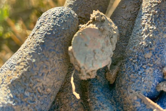 One of Jackie Mitchell’s most exciting discoveries was a 350-year-old Scottish Turner coin found in a field near Stirling. Despite its tiny size, the Minelab Vanquish 360 picked it up with a strong, clear signal.