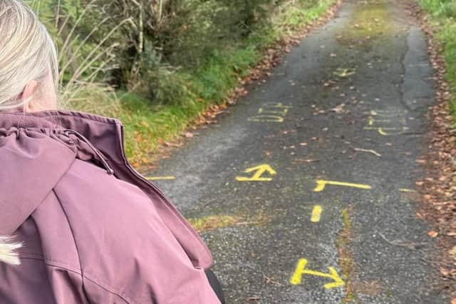 Catriona McGahan pictured on the Esker Hill Road where it is difficult to navigate due to dips and potholes.
