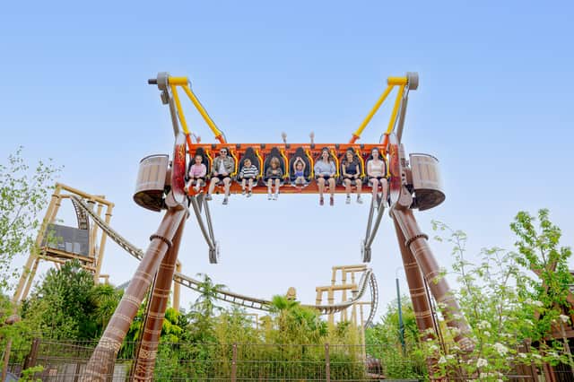 The Vild Swing at Paultons Park