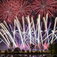 Fireworks ban call grows as 60% of pet owners report lasting distress in their animals