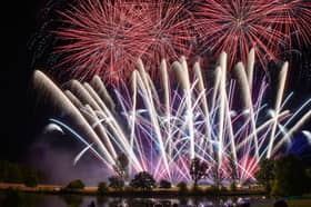 One in five pet owners thinks fireworks should be banned