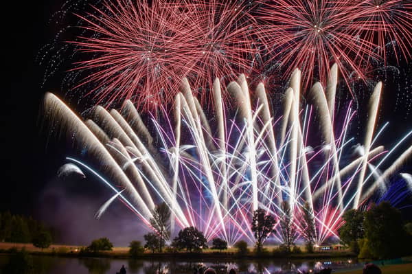 One in five pet owners thinks fireworks should be banned