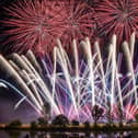 One in five pet owners thinks fireworks should be banned