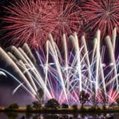 One in five pet owners thinks fireworks should be banned