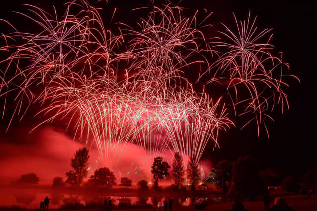 A study of 2,000 dog, cat and horse owners found 53 per cent back increased penalties for fireworks misuse