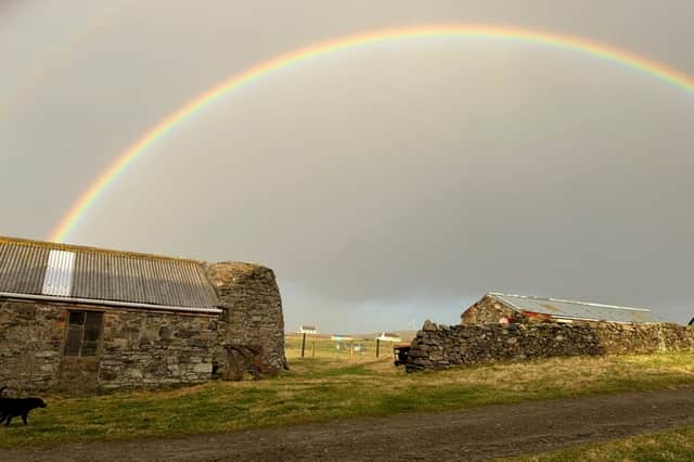 A family are 'living the dream' after moving to a remote Scottish island