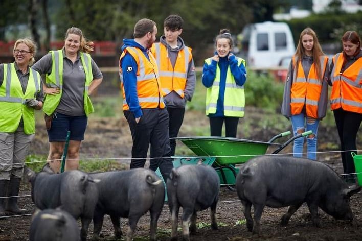 Students from the Salford Foundation taking part in pig care activities as part of the National Citizen Service (NCS) summer programme at RHS Garden Bridgewater - August 2018