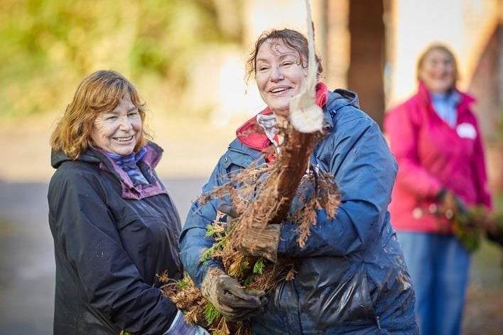 Volunteers help with clearing of vegetation at RHS Garden Bridgewater