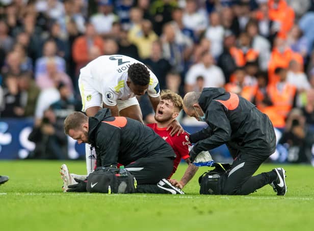 <p>INJURY: Liverpool's Harvey Elliott in pain after fracturing and dislocating his ankle at Elland Road</p>