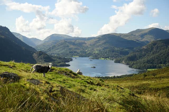 The collapse in Britons taking foreign holidays has boosted the demand for staycations to places like the Lake District (AFP via Getty Images)