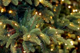 Join the great debate - do you prefer a fake or real Christmas tree when you are putting up your festive decorations?