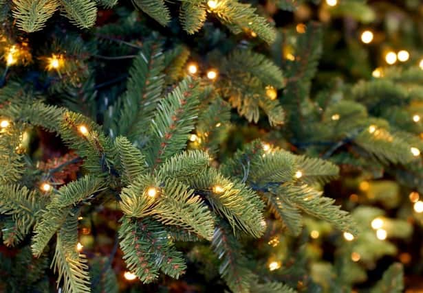 Join the great debate - do you prefer a fake or real Christmas tree when you are putting up your festive decorations?