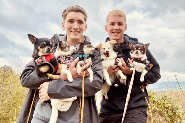 Left to right: Kieran Adamson, 28, and his partner Jak Worthing, 32, with their six chihuahuas