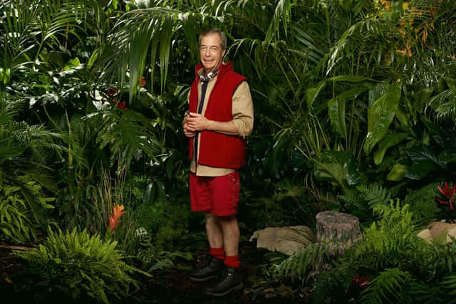 Nigel Farage in the jungle, hoping to survive the wombat's bollocks and become Tory leader (Picture: Kieron McCarron/ITV)