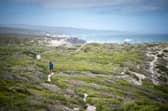De Hoop