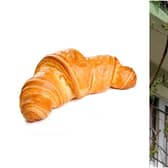 Locals thought the croissant in the tree was a mysterious creature (Photos: Shutterstock / Facebook)